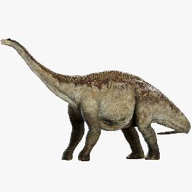 Argentinosaurus 3D (Rigged) 3D model